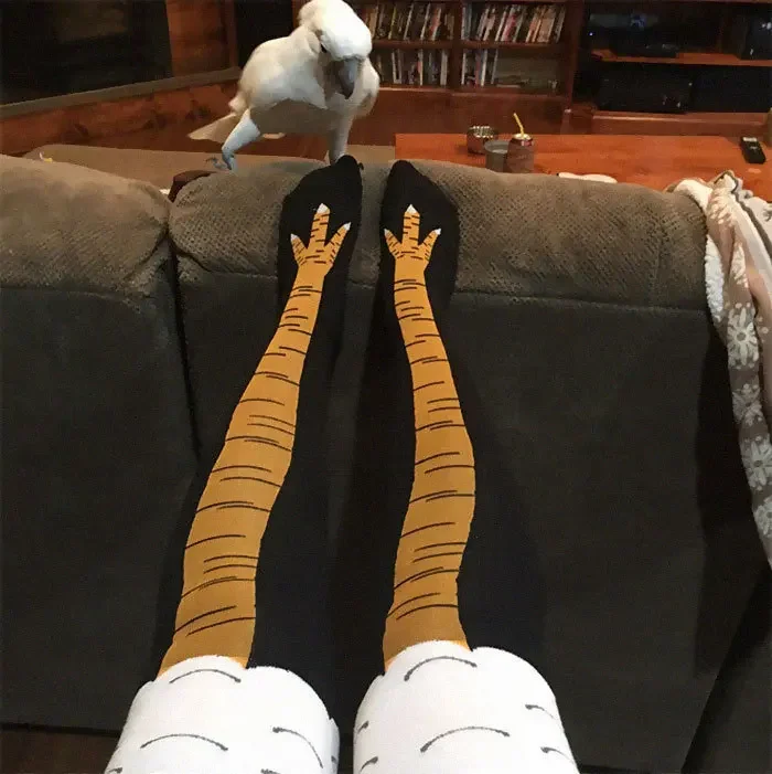Chaussettes à griffes jetables - Funny Chicken Leg Socks avis et prix